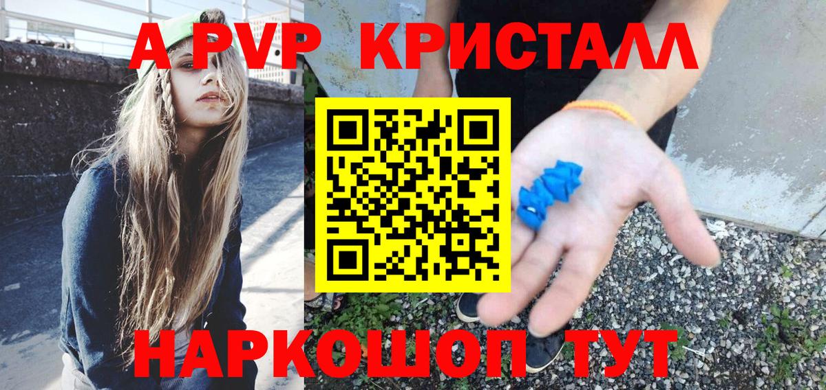 A PVP крисы CK Краснодар