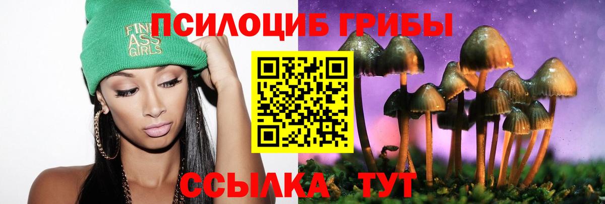 Краснодар  Галлюциногенные грибы Psilocybine cubensis  Вход с VPN 
